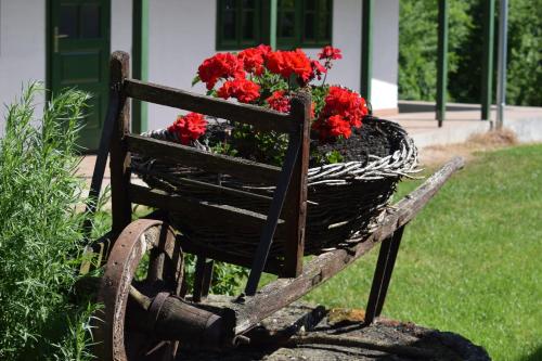  Pitypang Vnedégház in Megyer