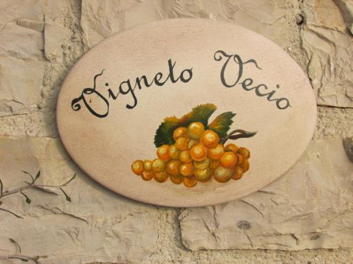 Vigneto Vecio