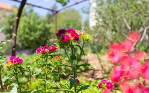  Apartman studio Tea in Polje