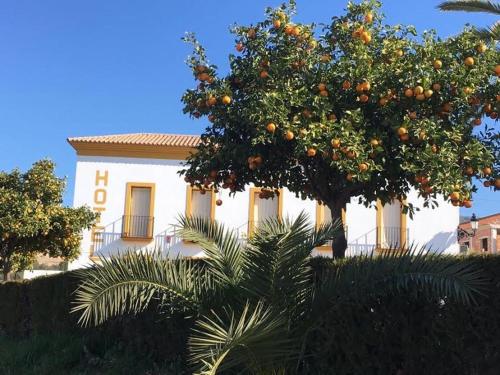 Hotel Andalou - image 8