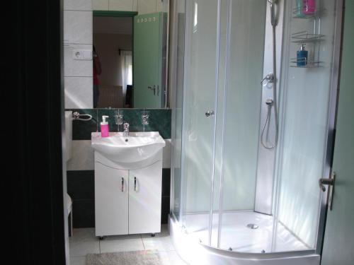 Bathroom, Biro Apartman in Zalakaros