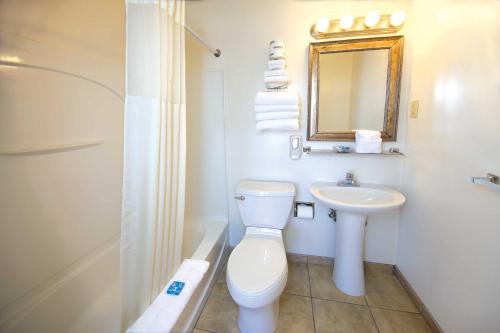 Twin room, with views