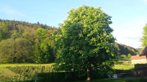 景觀, Haus Annemarie in 戈爾德克羅納