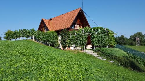 Vineyard Cottage Berus - Dolenja Vas pri Mirni Peči