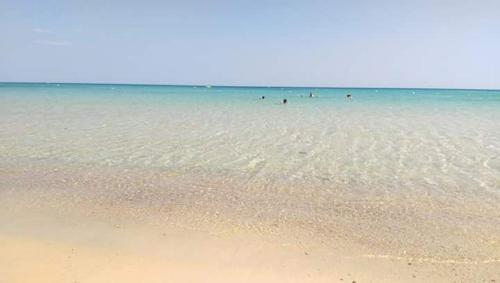 Le lagon de Hammamet Nabeul