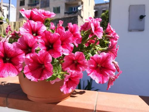 La Casetta chambre d'hôte Santa Caterina Albanese
