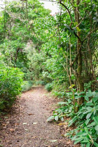 Finca Rosa Blanca Coffee Farm and Inn