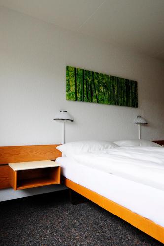 Hôtel Oasis - main image