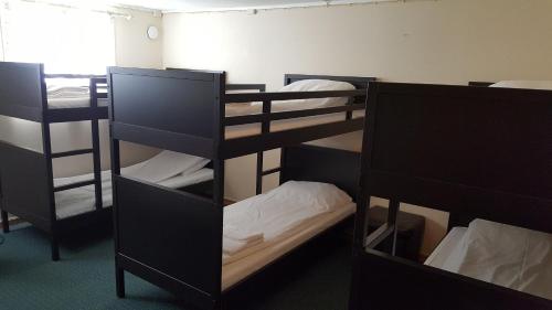 Single Bed in Mixed Dormitory Room