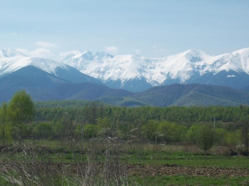 La Curtea Porumbaceana