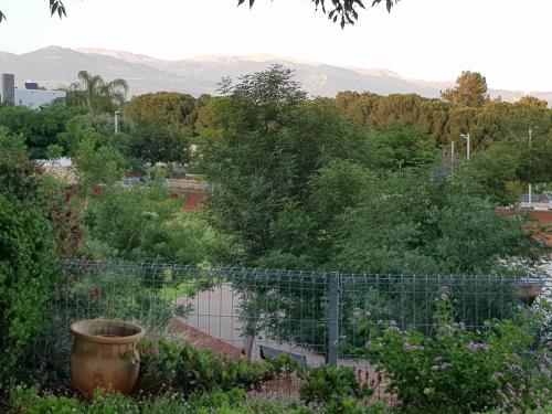 Skats, Nano's Place in Ma'ayan Baruch