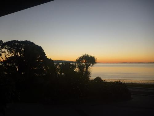 圣诞红花海岸住宿加早餐旅馆