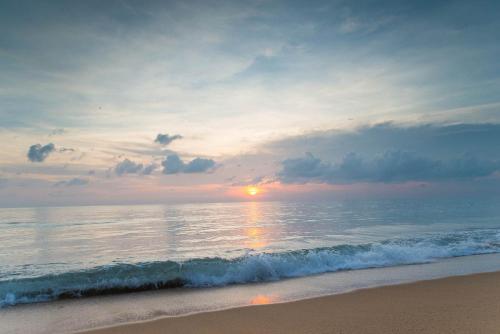 Luxury Oceanfront_pool access apartment