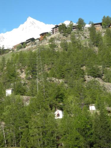 Hotel Adler - image 6