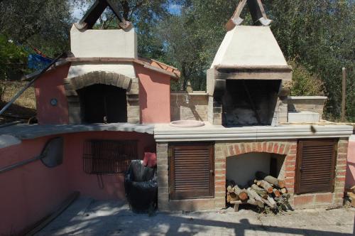 Il Pino 3