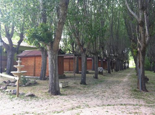 Cabañas Camping Sierra de Peñascosa