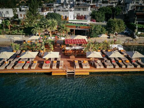 Galen Beach House
