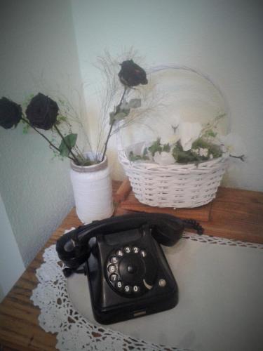 Guesthouse Jersin - image 5