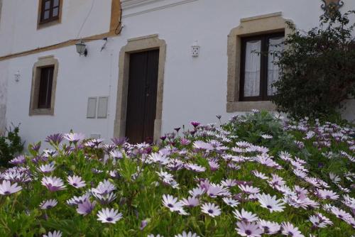 BellaVita Museum Paderne gîte à louer Barrocal