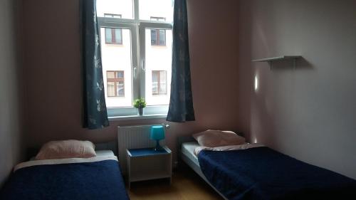 Hostel Imbir Torun