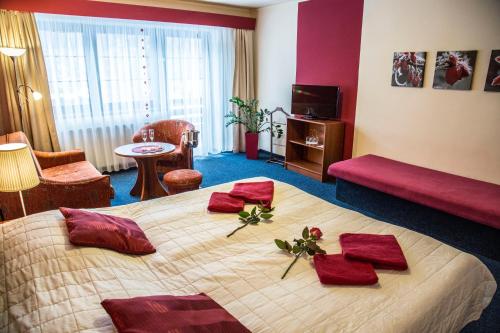 Hotel Centrum Harrachov - image 9
