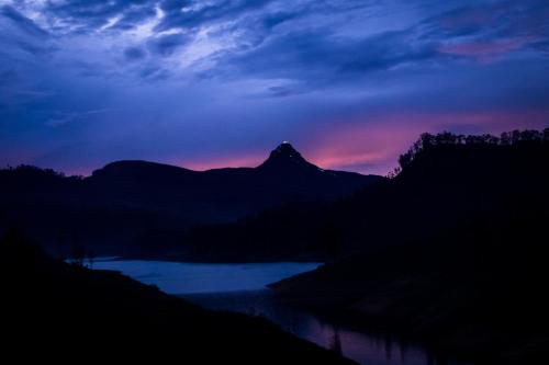 Surrounding environment, Hotel mango tree nearest Adam's peak in Nuwara Eliya