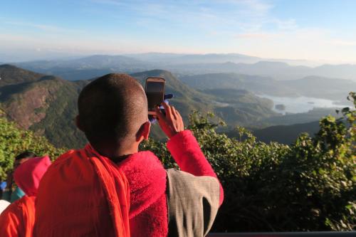 Hotel mango tree nearest Adam's peak