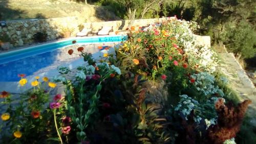 Villa Mora - image 5