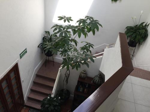 Casa Maria Elena Condesa