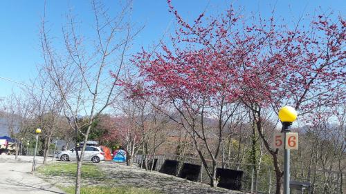 Qing Jing Xiao Taiyang Jingguan Homestay - 주변 환경