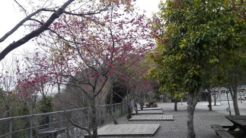 Qing Jing Xiao Taiyang Jingguan Homestay - 주변 환경