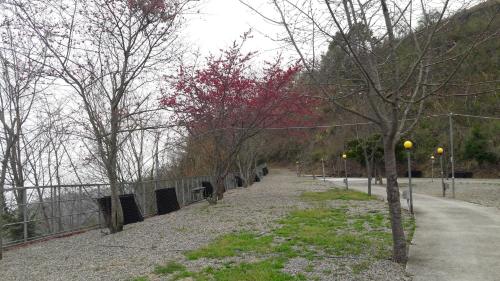 Qing Jing Xiao Taiyang Jingguan Homestay - 주변 환경