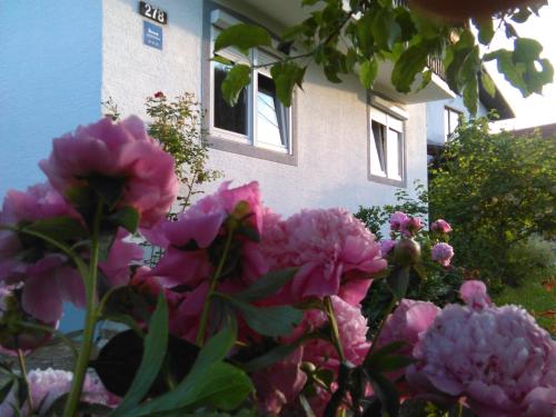  Apartment Barbara in Grabovac