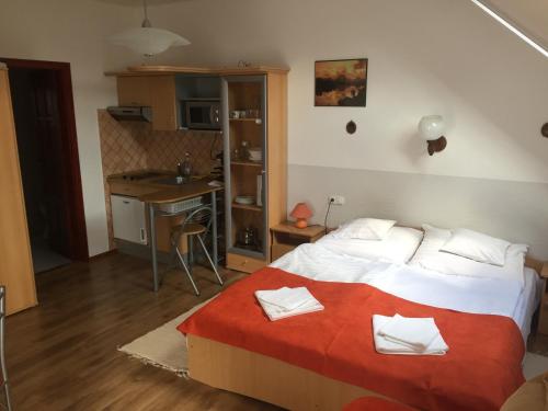  Andrea Apartman in Harkány