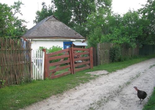 Kалиновий Kущ, Dmitrenki (foto 3)