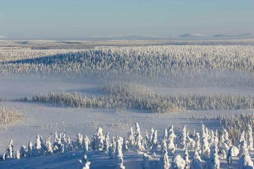 Holiday Club Salla - image 3