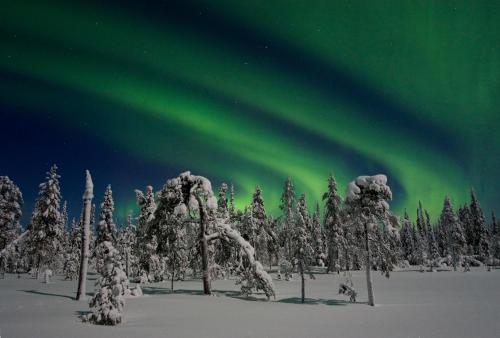 Holiday Club Salla - image 11