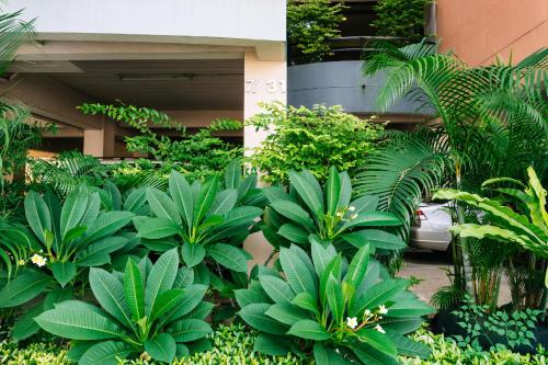 Grand Residence Ngamwongwan 19 - 출입구