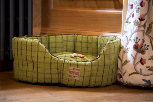 Suite, deluxe, admite mascotas