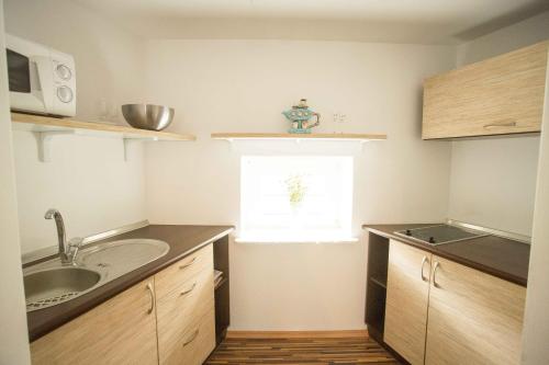 Facilities, Apartman Harrachov se zahradou in Harrachov