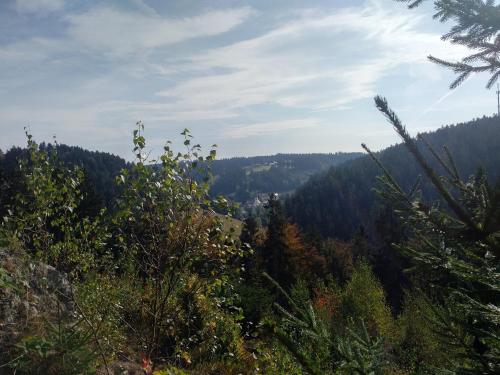 周邊環境, Haus Annemarie in 戈爾德克羅納