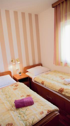 Pansion CASA GAGRO - image 14