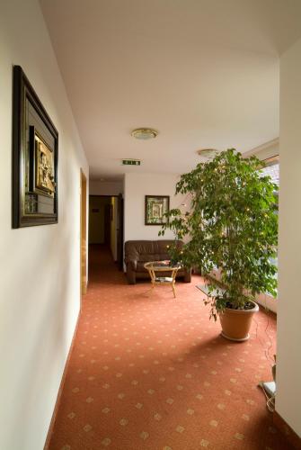 索奈克酒店 索奈克酒店