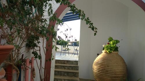 Studios Remvi in Livadi (Cythera)