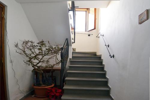 Seadmed, Appartamento Bellavista in Fossato Di Vico