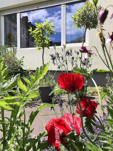 Apartment with Garden View
