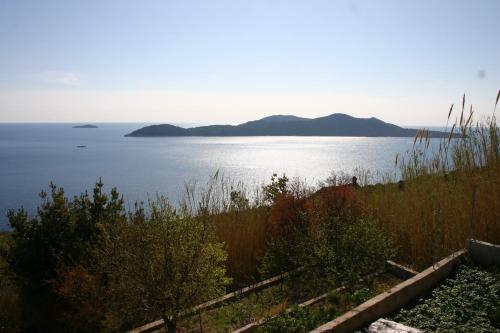  Apartments Drušković in Orasac