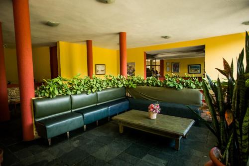 ล็อบบี้, Hotel Pelicano in หาดเปเรเก