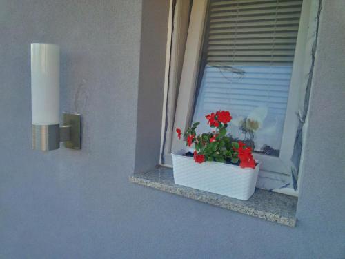 Two-Bedroom Apartment image 5