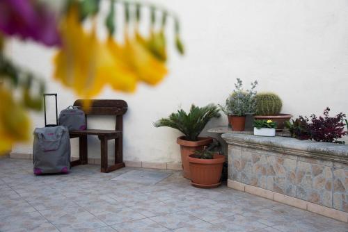 Le Tre Rose di Giò Le Tre Rose di Giò